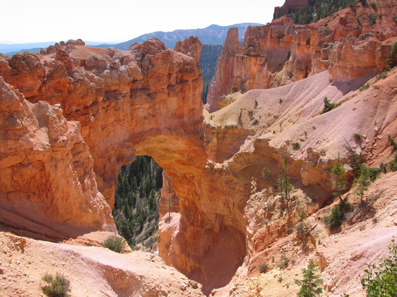 Bryce Canyon 11