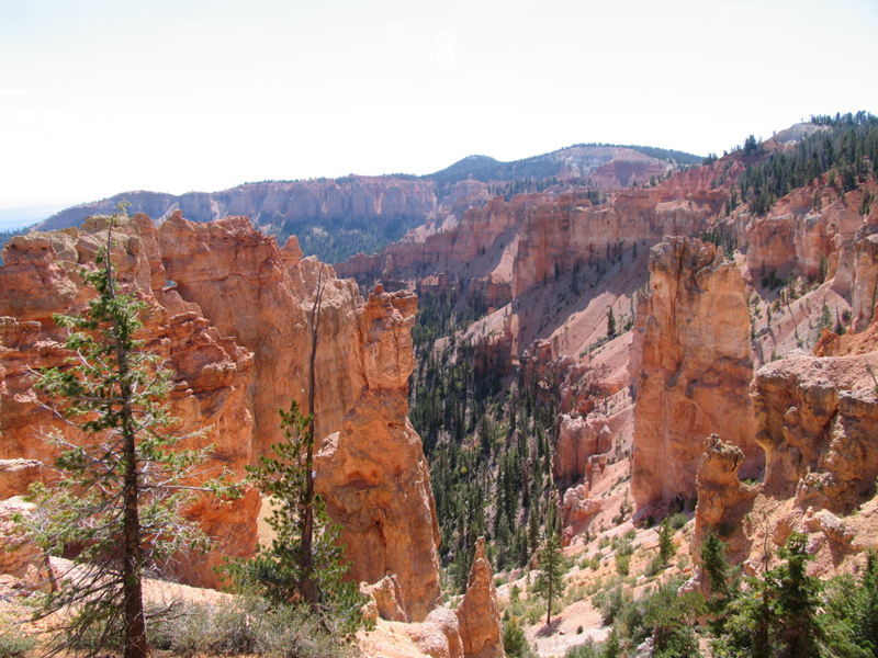 Bryce Canyon 4