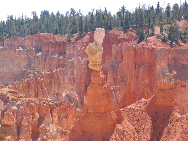 Bryce Canyon 8