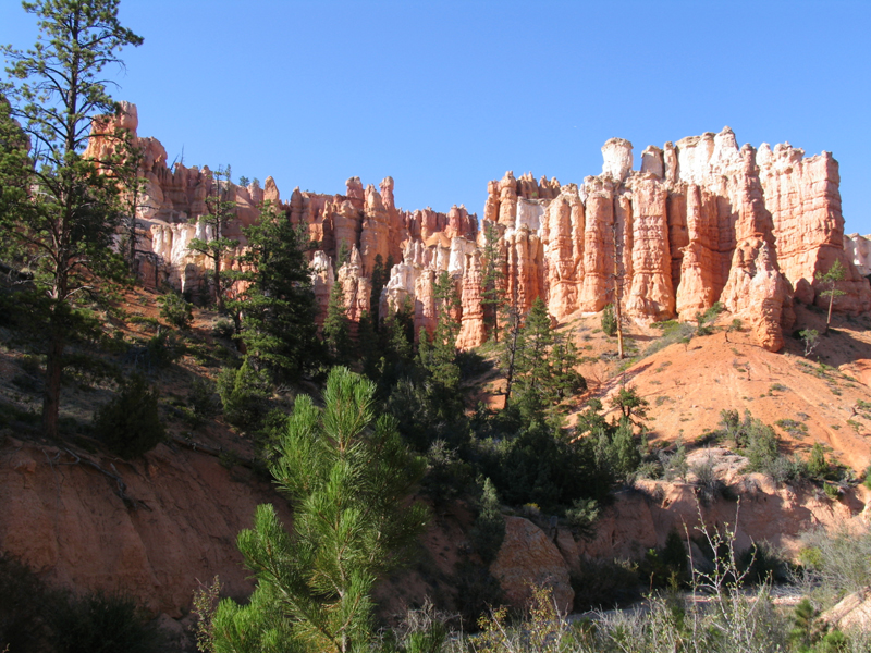 Mossy Cave 2