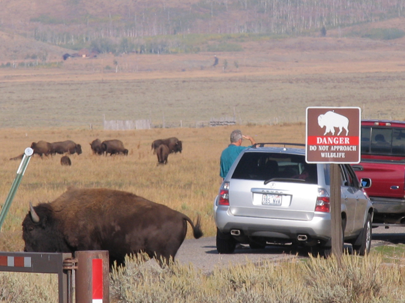 Grand Teton National Park