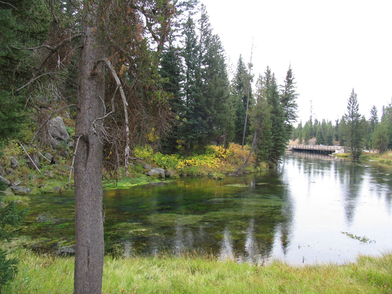 Big Springs 2