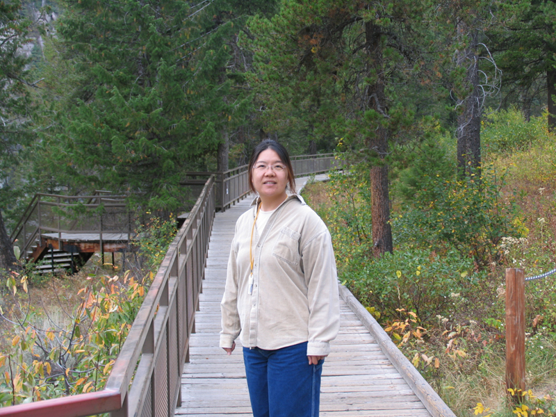 Upper Mesa Falls 1