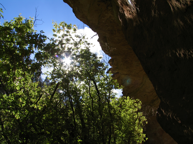 Cliff Springs Tr 1