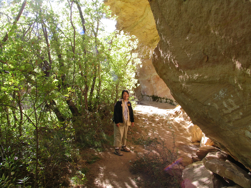 Cliff Springs Tr 2
