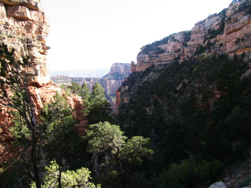 Cliff Springs Tr 4