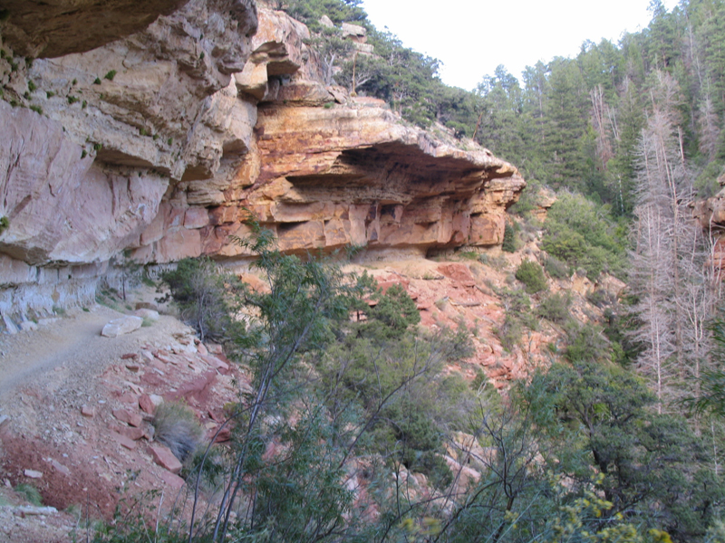 Cliff Springs Tr 5