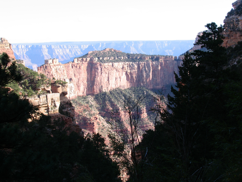 Cliff Springs Tr 6