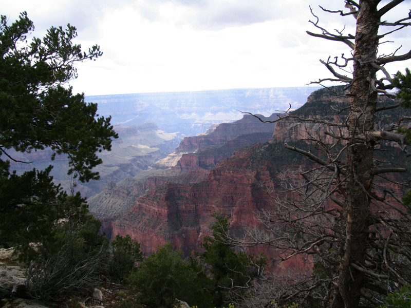 North Rim 02