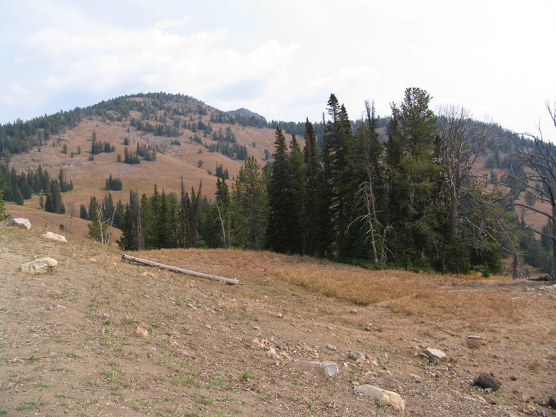 Dunraven Pass 1