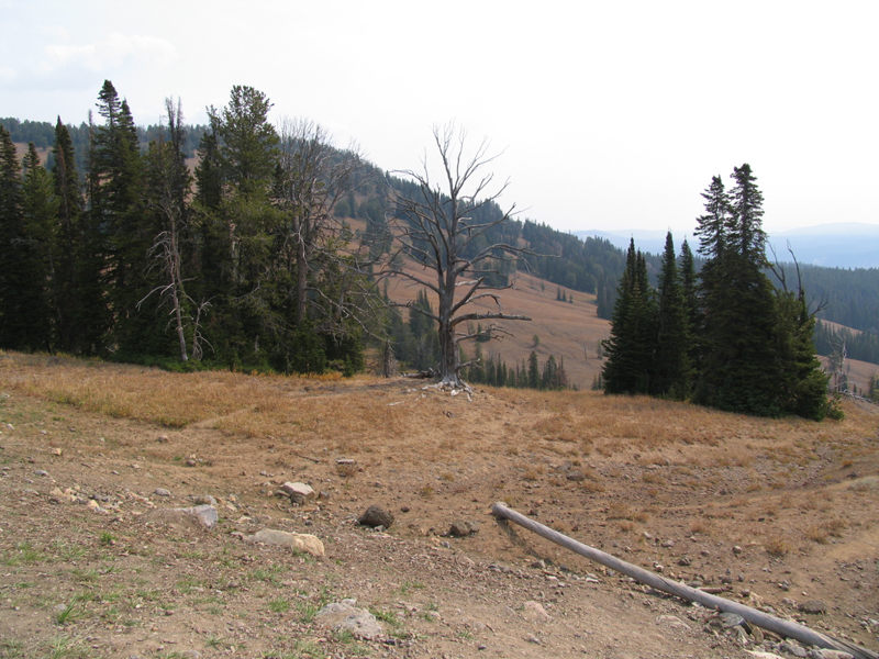 Dunraven Pass 2