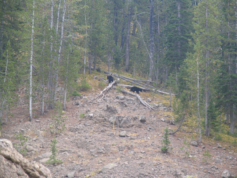 Dunraven Pass 5