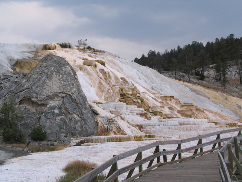 Mammoth 2