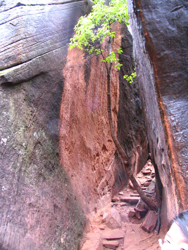 Emerald Pools Tr 9