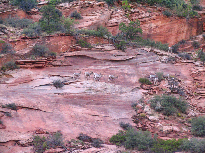 Rt 9 Utah 4