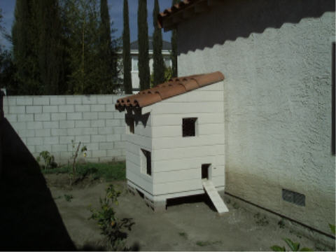 The finished chicken coop