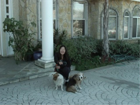 Debbie with her dogs