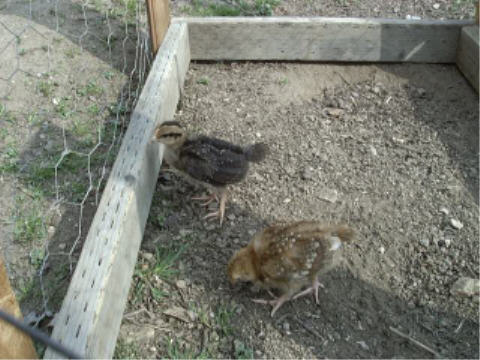 Mindy and Eunice 2/8/2002