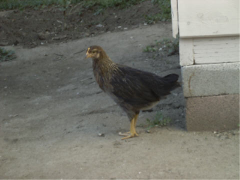 Mindy 3/9/2002